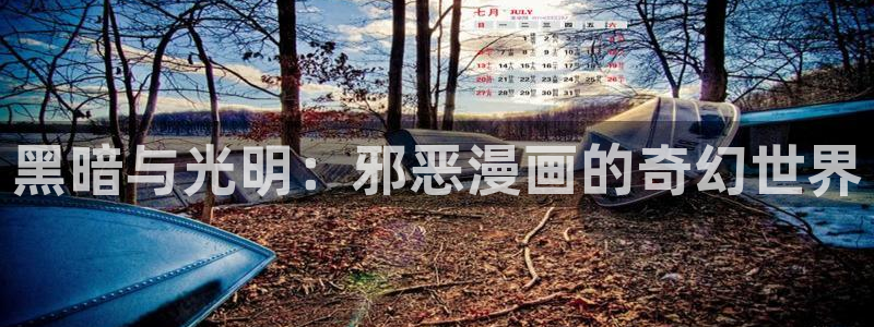 汗汗漫画在线阅读页面免费观看：黑暗与光明：邪恶漫画的奇幻世界