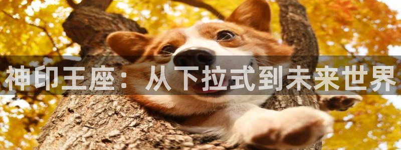 汗汗漫画羞：神印王座：从下拉式到未来世界