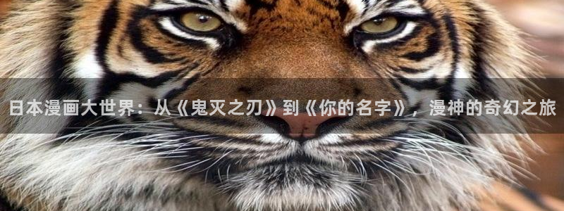 虎虎漫画 汗汗漫画：日本漫画大世界：从《鬼灭之刃》到《你的名字》，漫神的奇幻之旅
