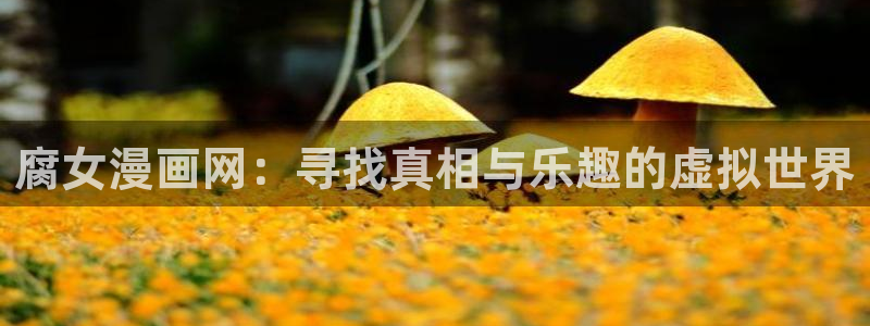 汗汗漫画官：腐女漫画网：寻找真相与乐趣的虚拟世界