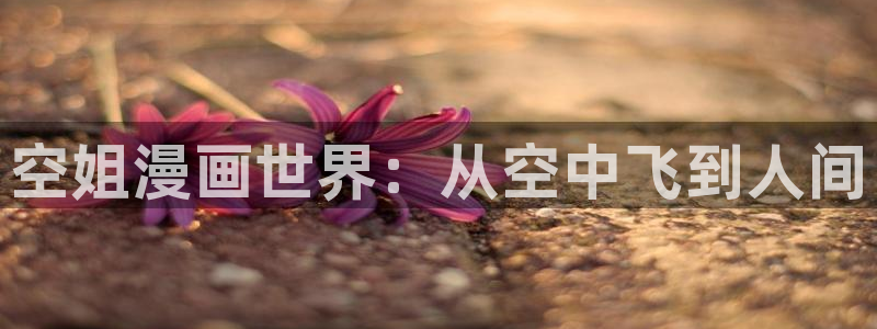 秘密教学汗汗漫画：空姐漫画世界：从空中飞到人间