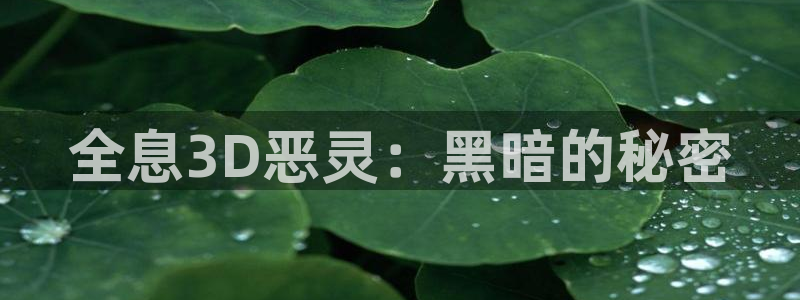 汗汗漫画看不了了：全息3D恶灵：黑暗的秘密