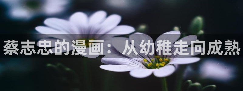 歪歪漫画和汗汗漫画：蔡志忠的漫画：从幼稚走向成熟