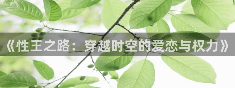 羞羞漫画sss汗汗漫画嘿咻漫画：《性王之路：穿越时空的爱恋与权力》