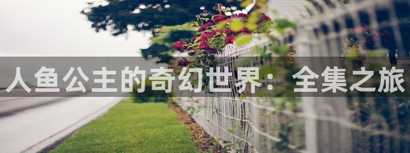 汗汗漫画无遮挡：人鱼公主的奇幻世界：全集之旅