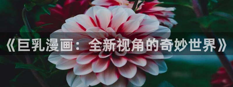 汗汗漫画链接：《巨乳漫画：全新视角的奇妙世界》