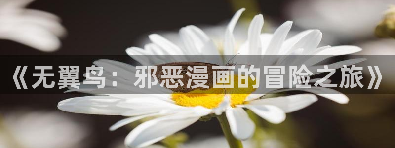 韩漫网站汗汗漫画：《无翼鸟：邪恶漫画的冒险之旅》