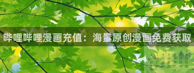 www.汗汗漫画com：哔哩哔哩漫画充值：海量原创漫画免费获取