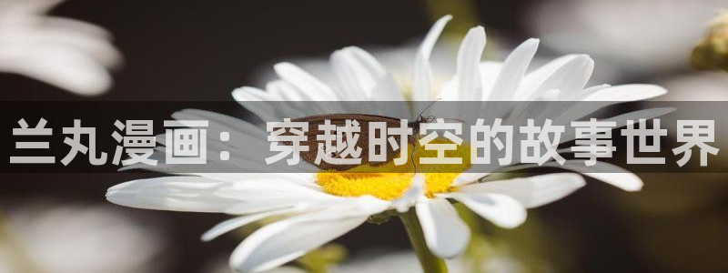 汗汗汗漫画sss：兰丸漫画：穿越时空的故事世界