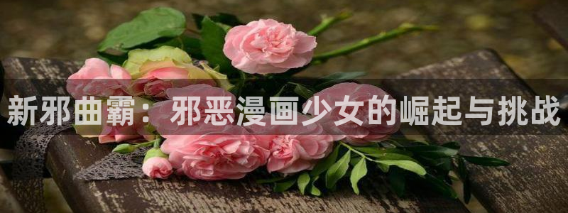 汗汗漫画首页入口