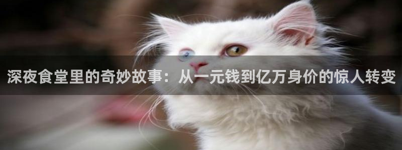 汗汗漫画安卓版app下载：深夜食堂里的奇妙故事：从一元钱到亿万身价的惊人转变
