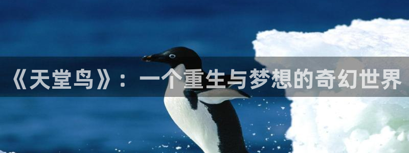 汗汗漫画免费在线阅读：《天堂鸟》：一个重生与梦想的奇幻世界
