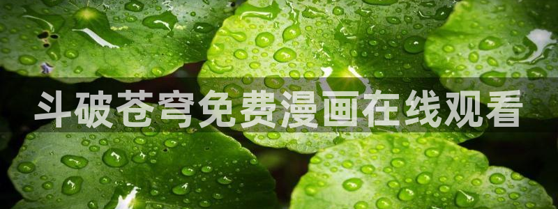 女神汗汗漫画sss：斗破苍穹免费漫画在线观看