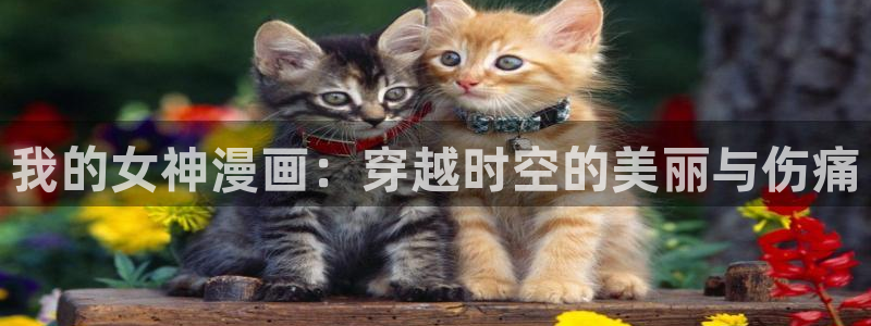 汗汗漫画免费观看：我的女神漫画：穿越时空的美丽与伤痛