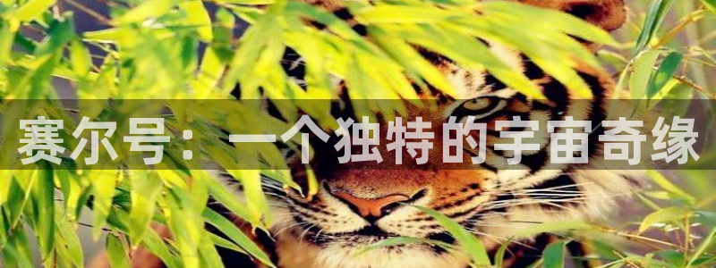 羞羞漫画汗汗漫画入口：赛尔号：一个独特的宇宙奇缘