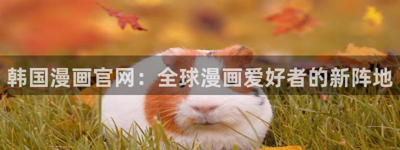 动漫汗汗漫画：韩国漫画官网：全球漫画爱好者的新阵地
