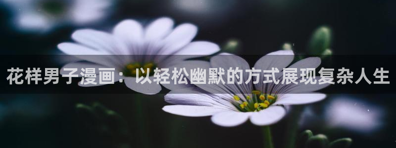 汗汗漫画无遮挡在线观看歪歪：花样男子漫画：以轻松幽默的方式展现复杂人生