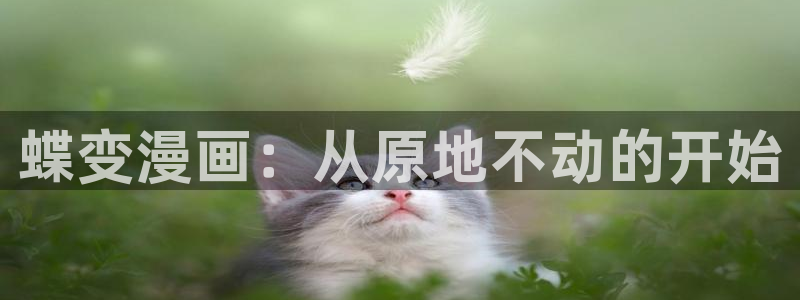 打开汗汗漫画：蝶变漫画：从原地不动的开始