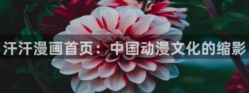 汗汗漫画在线观看视频
