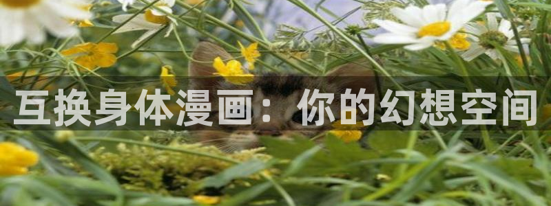 汗汗漫画免费看
